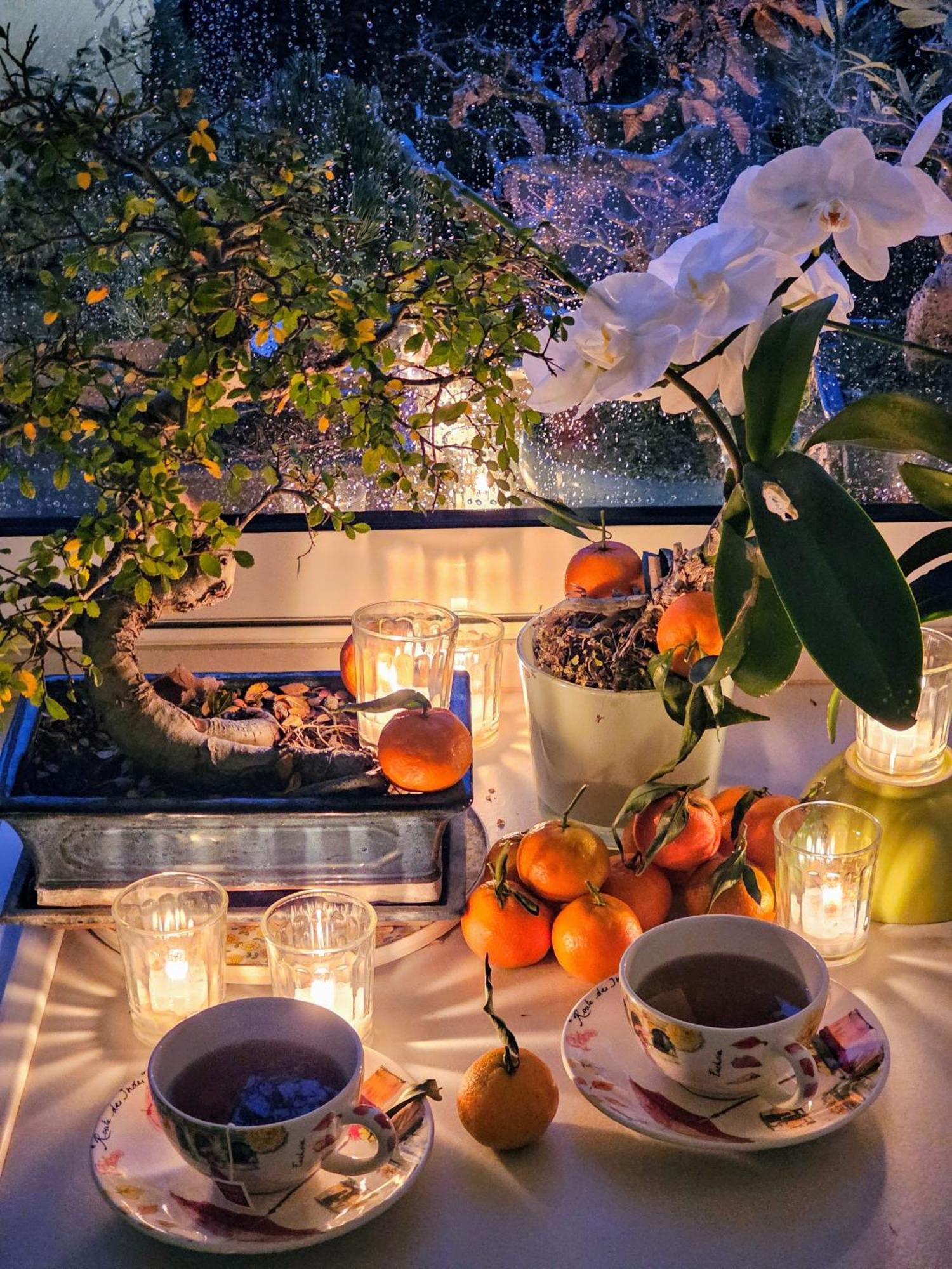 شقة Terrasse De Malissol فيين المظهر الخارجي الصورة
